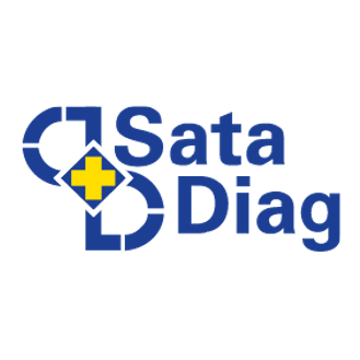 Satadiag ohjelmistokehitys Tuotteet Laula Lausunto